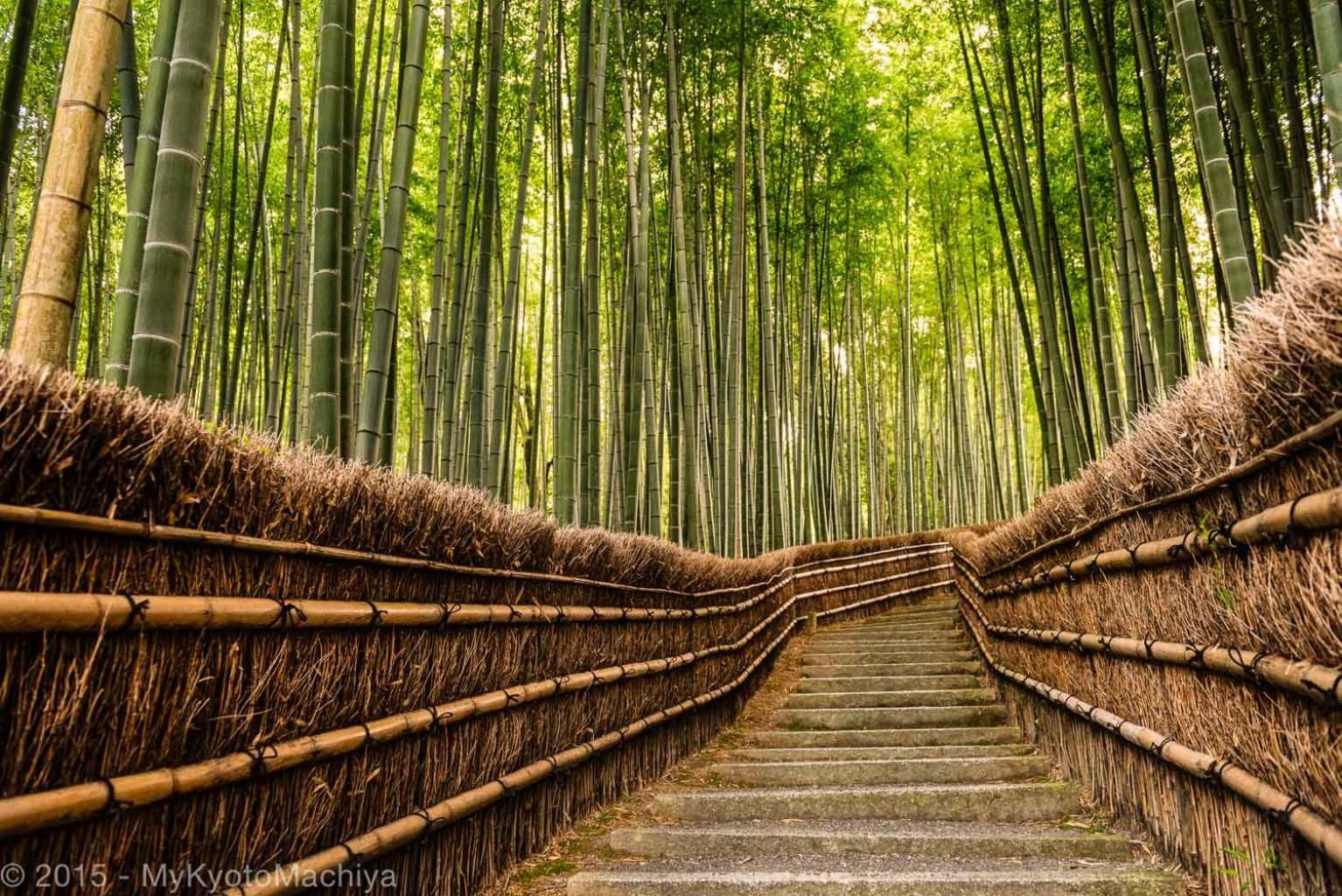 Gojozaka Samurai Machiya كيوتو المظهر الخارجي الصورة
